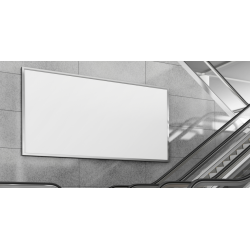 Pull imprimé colibri