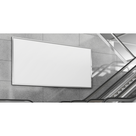 Pull imprimé colibri