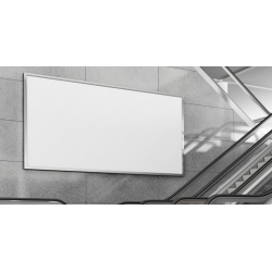 T-shirt imprimé colibri